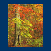 Enchanted Autumn canvas prints