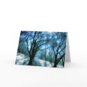 Enchanted Blue -Card