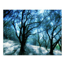 "Enchanted Blue" Poster posters