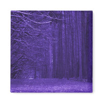 Enchanted Forest magnets