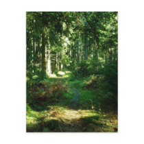 enchanted forest postcards