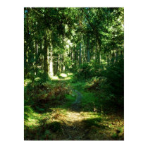 enchanted forest posters