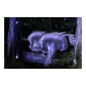 Enchanted Forest posters by lydian Enchanted Forest posters