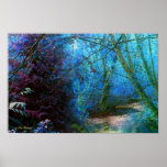 Enchanted Forest posters