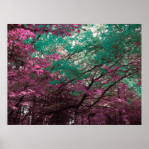 Enchanted Forest posters
