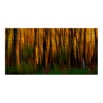 Enchanted Frostest  Poster posters