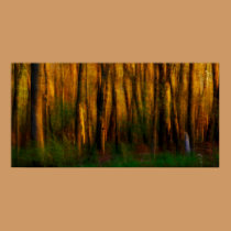 Enchanted Frostest Poster posters by Gmlphotos Enchanted Frostest Poster posters