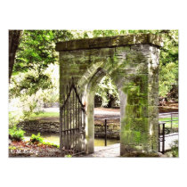 Enchanted Gate Photo photography