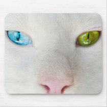 Enchanted mousepads