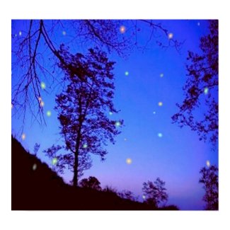Enchanted Night Poster print