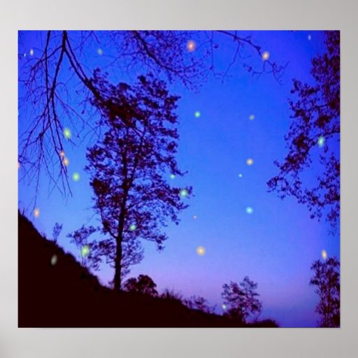 Enchanted Night  Poster