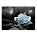 Enchanted Nights business cards