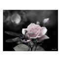 enchanted nights pink posters by Guiltypleasures enchanted nights pink posters