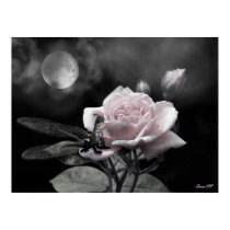 enchanted nights pink posters