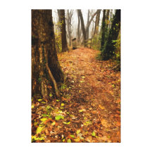 Enchanted Path in the Woods & Bridge Print Canvas Gallery Wrapped Canvas