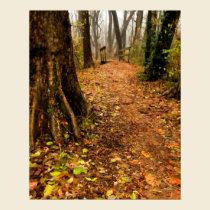 Enchanted Path in the Woods & Bridge Print Poster posters