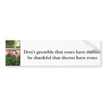 Enchanted Rose Garden bumper stickers by foreverspring Enchanted Rose Garden bumper stickers