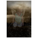 Enchanted Shirt