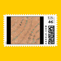 Enchanted Stamp1