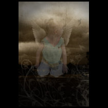 Enchanted t-shirts