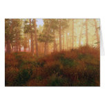 Enchanted Wood cards
