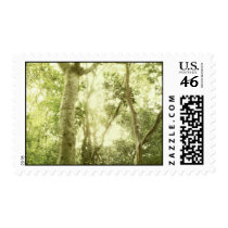Enchanted Wood Postage stamps