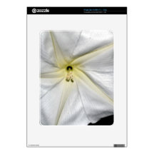 Enchanting Decals For The iPad