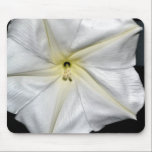 Enchanting mousepads