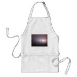 Enchantment Apron