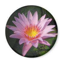 Enchantment magnets