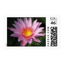 Enchantment postage by utopiaaquatic Enchantment postage