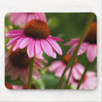 enchinaceas mousepads