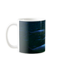 Enchodus mugs