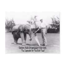 Encouragement - Elephant Playing Golf Postcards