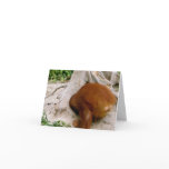 Encouragement -  fight Discouragement Greeting Card