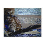 Encouragement Owl postcards