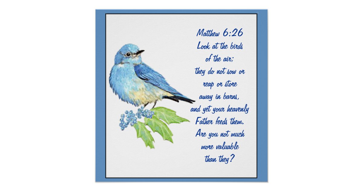 Encouraging Bible Scripture Matthew Bluebird Poster Zazzle