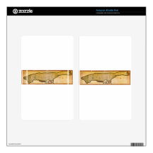 Encuesta sobre los puentes' de Manhattan, NYC (180 Kindle Fire Skins