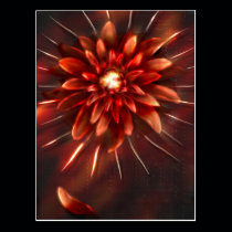 End of flowers - Postcard postcards