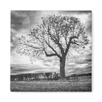 End of Summer Black and white tree fridge magnet