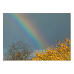 End of the Rainbow Business Cards