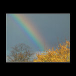 End of the Rainbow postcards