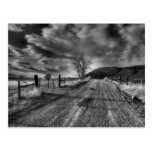 End of the Road Post Card