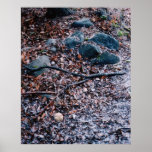 End of the Season Print