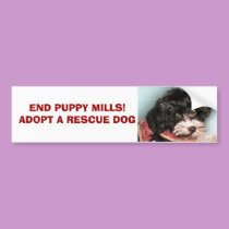 END PUPPY MILLS!  ADOPT A RESCUE... bumper stickers