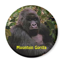 Endangered African Gorilla Great Apes Art Magnet