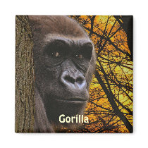 Endangered African Gorilla & Trees Art Magnet