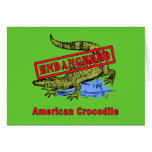 Endangered American Crocodile Products Greeting Cards