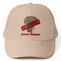 Endangered Animal African Elephant hats