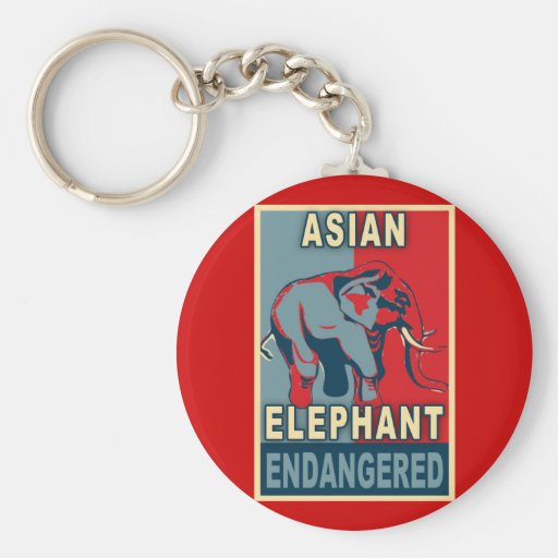 Endangered Asian Elephant Pop Art Tshirts Keychains